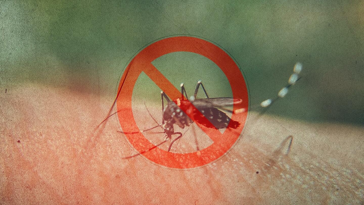 डेंगू से सुरक्षित रहने के लिए अपनाएं ये पांच तरीके