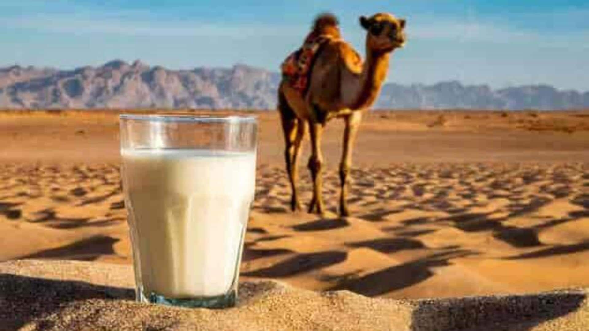 अपनी डाइट में शामिल करें ऊंटनी का दूध, जानिए इसके फायदे