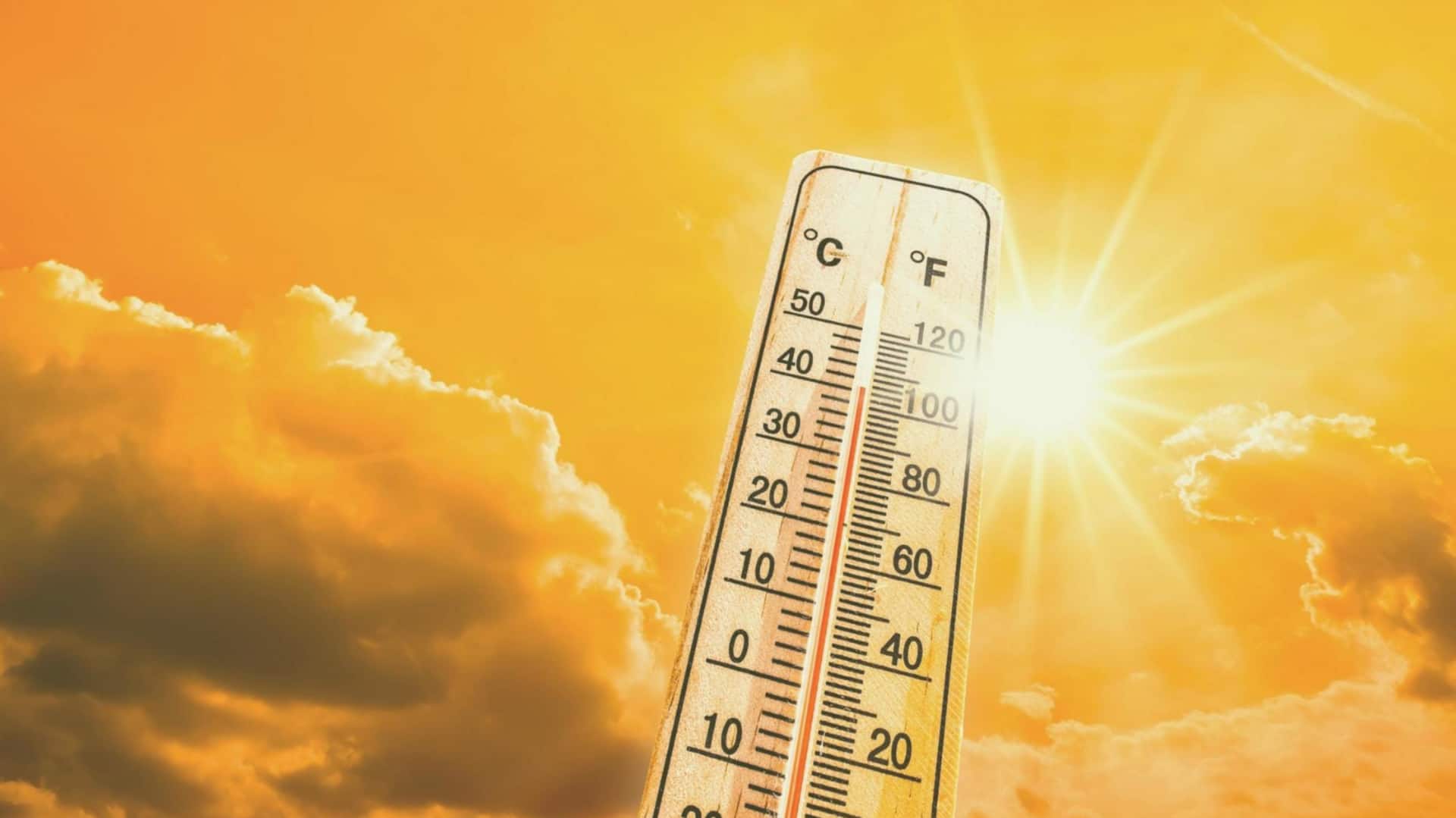 नासा ने बढ़ती गर्मी पर दी चेतावनी, लगातार पांचवें साल बढ़ा जुलाई का तापमान