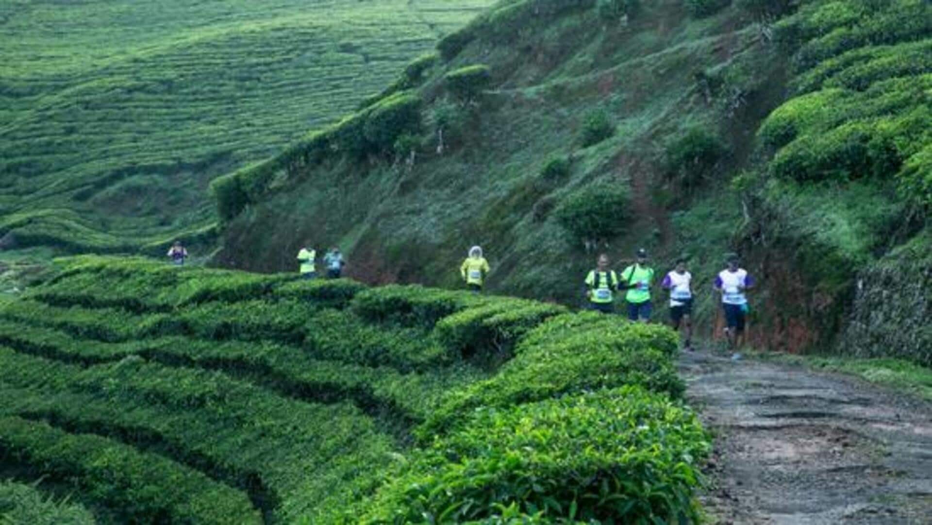 कर्नाटक: कोडागु में स्थित ये जगहें हैं घूमने के लिए बेहतरीन