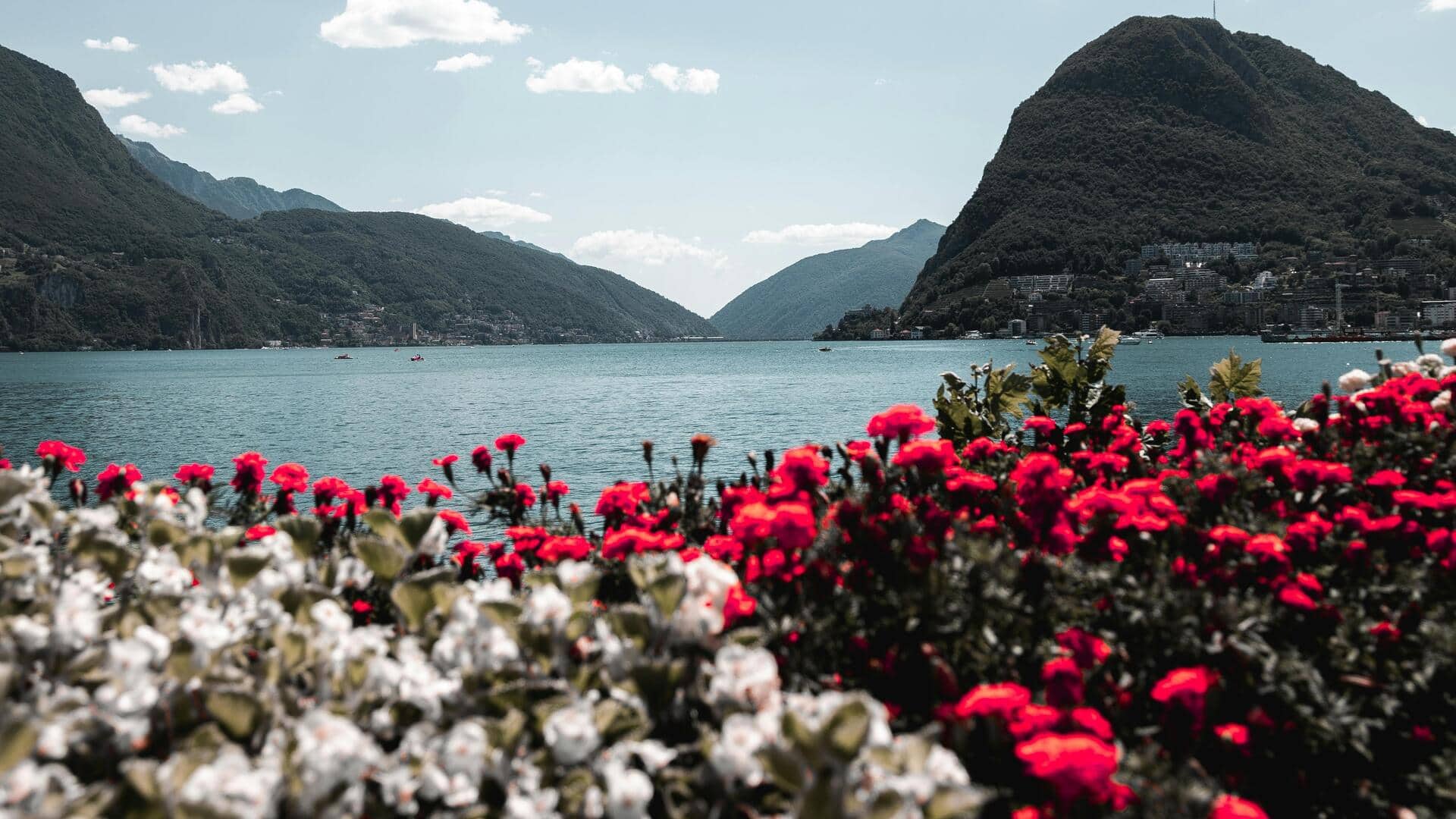 स्विट्जरलैंड की ये 5 जगहें हैं जंगली फूलों की सुंदरता से भरपूर, एक बार जरूर जाएं