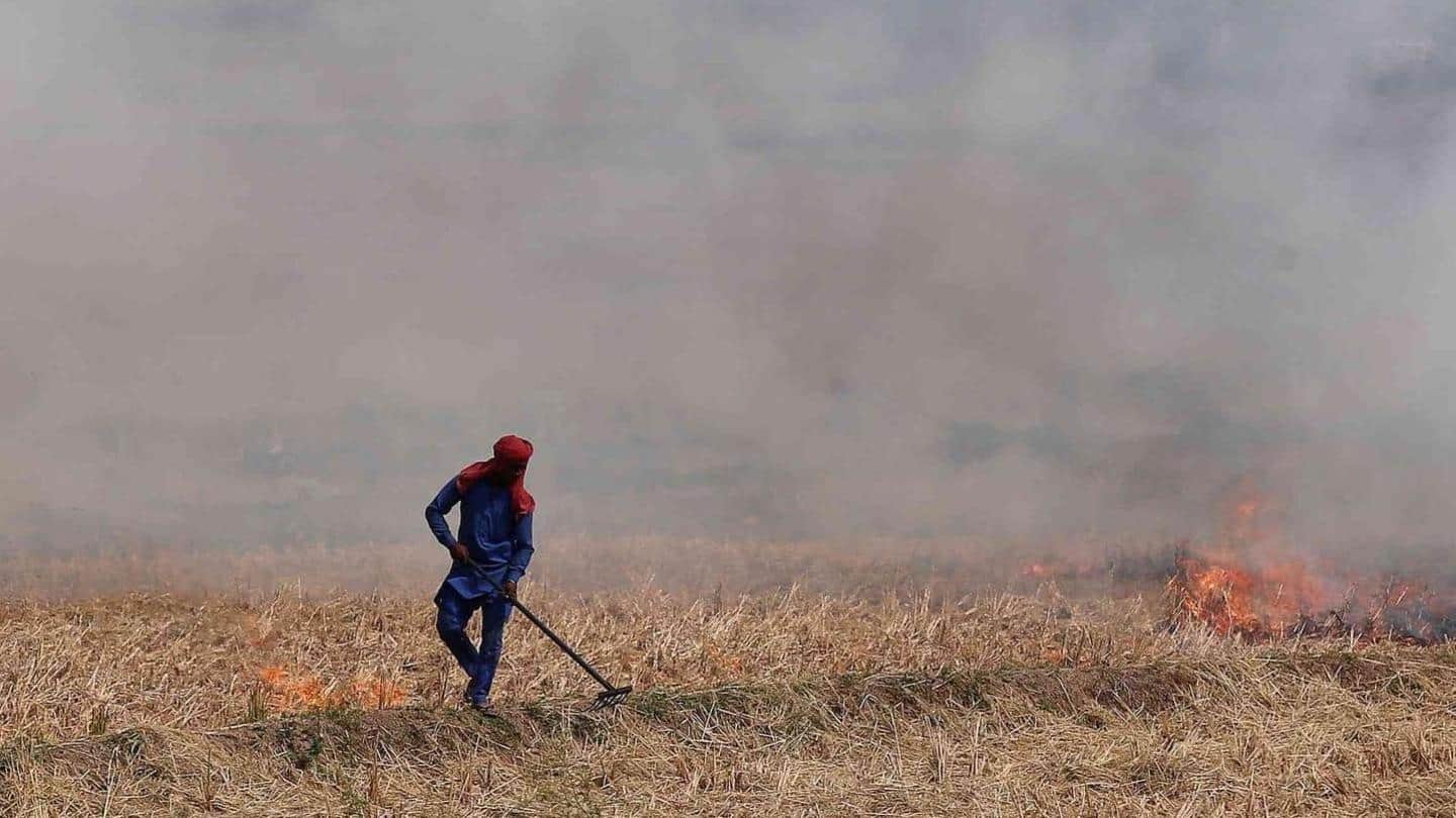 पंजाब: नकद प्रोत्साहन और सब्सिडी की बाद भी पराली जलाने से क्यों नहीं रूक रहे किसान?