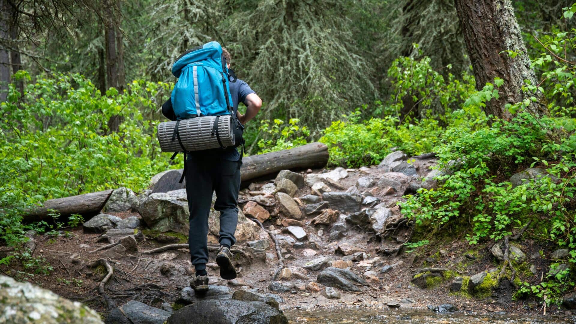 ट्रेकिंग पर जाने से पहले इन 5 बातों का रखें खास ध्यान, यात्रा बनेगी सुरक्षित ट्रेकिंग पर जाने से पहले इन 5 बातों का रखें खास ध्यान, यात्रा बनेगी सुरक्षित