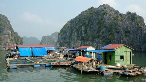 दुनियाभर के इन 4 तैरते गांवों की करें सैर, मिलेगी अनोखी संस्कृति की झलक