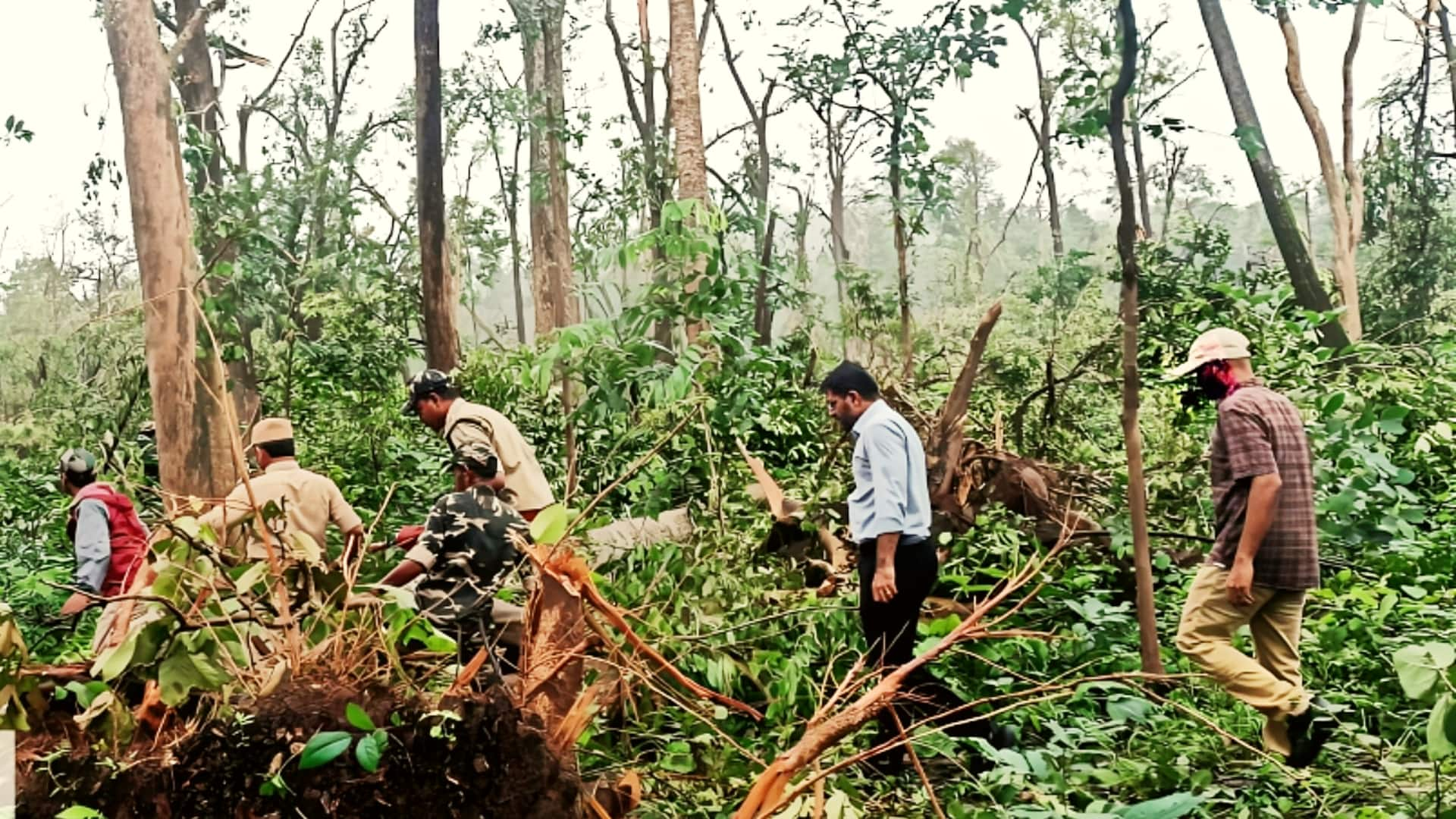 तेलंगाना: बारिश का कहर जारी, तेज हवा से गिरे 50,000 से अधिक पेड़