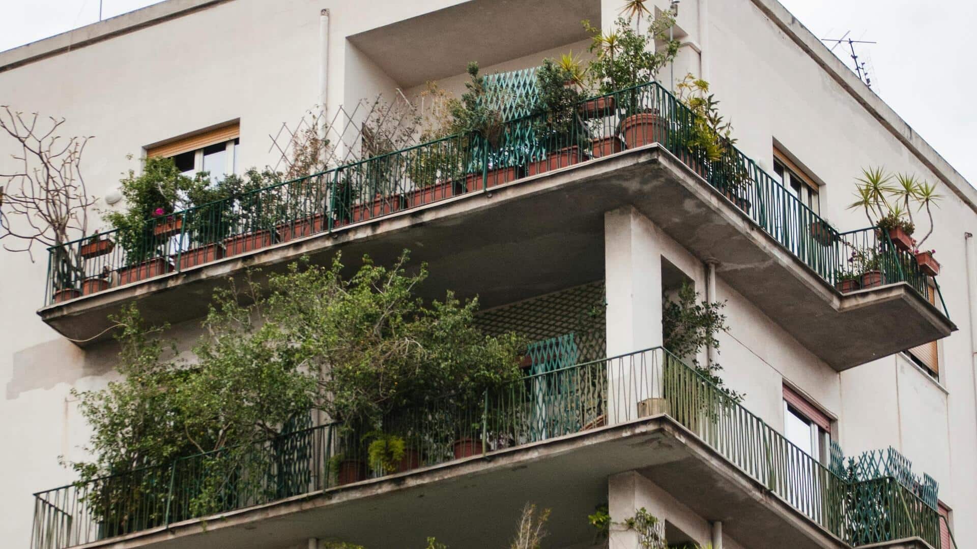 बालकनी के गार्डन में उगी जंगली घास की समस्या से परेशान हैं? ऐसे पाएं छुटकारा