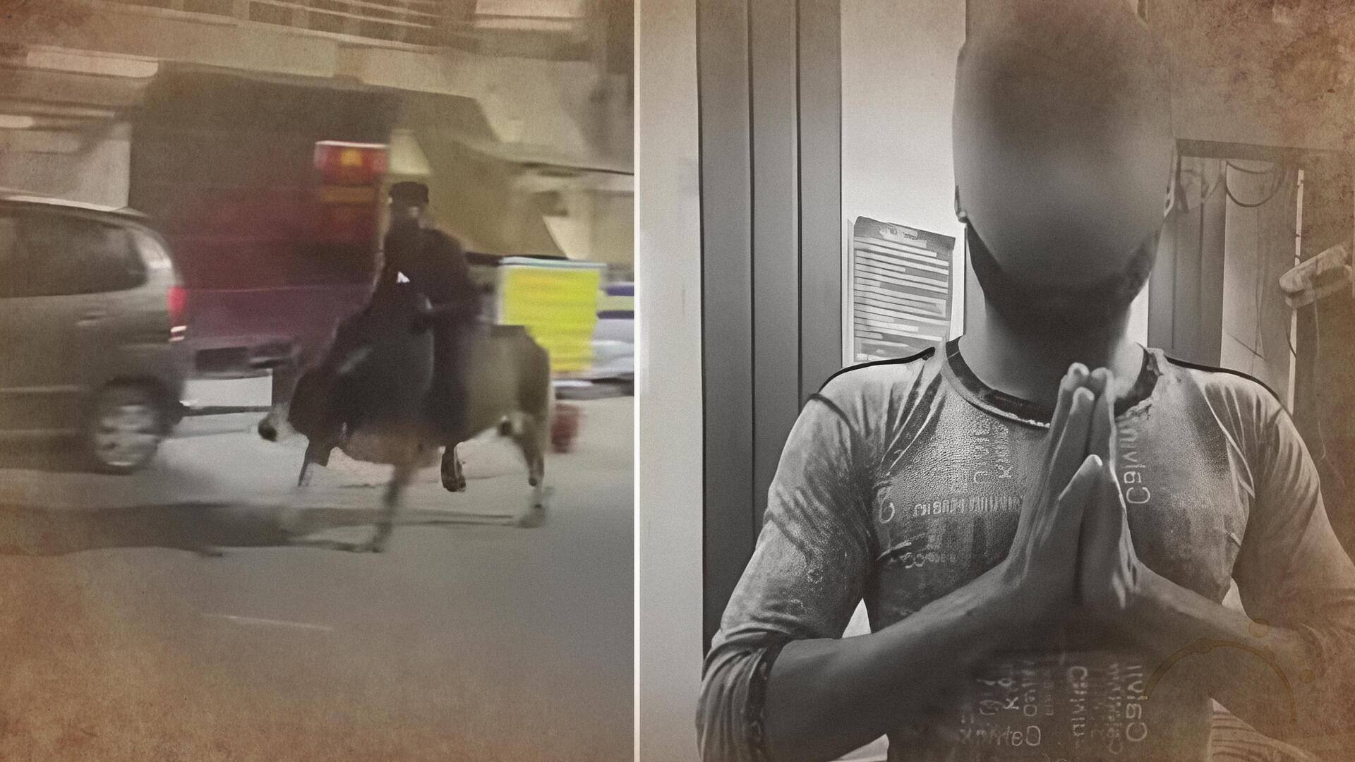 उत्तराखंड: नशे में धुत व्यक्ति सांड पर बैठकर सड़कों पर घूमा, देखें वीडियो