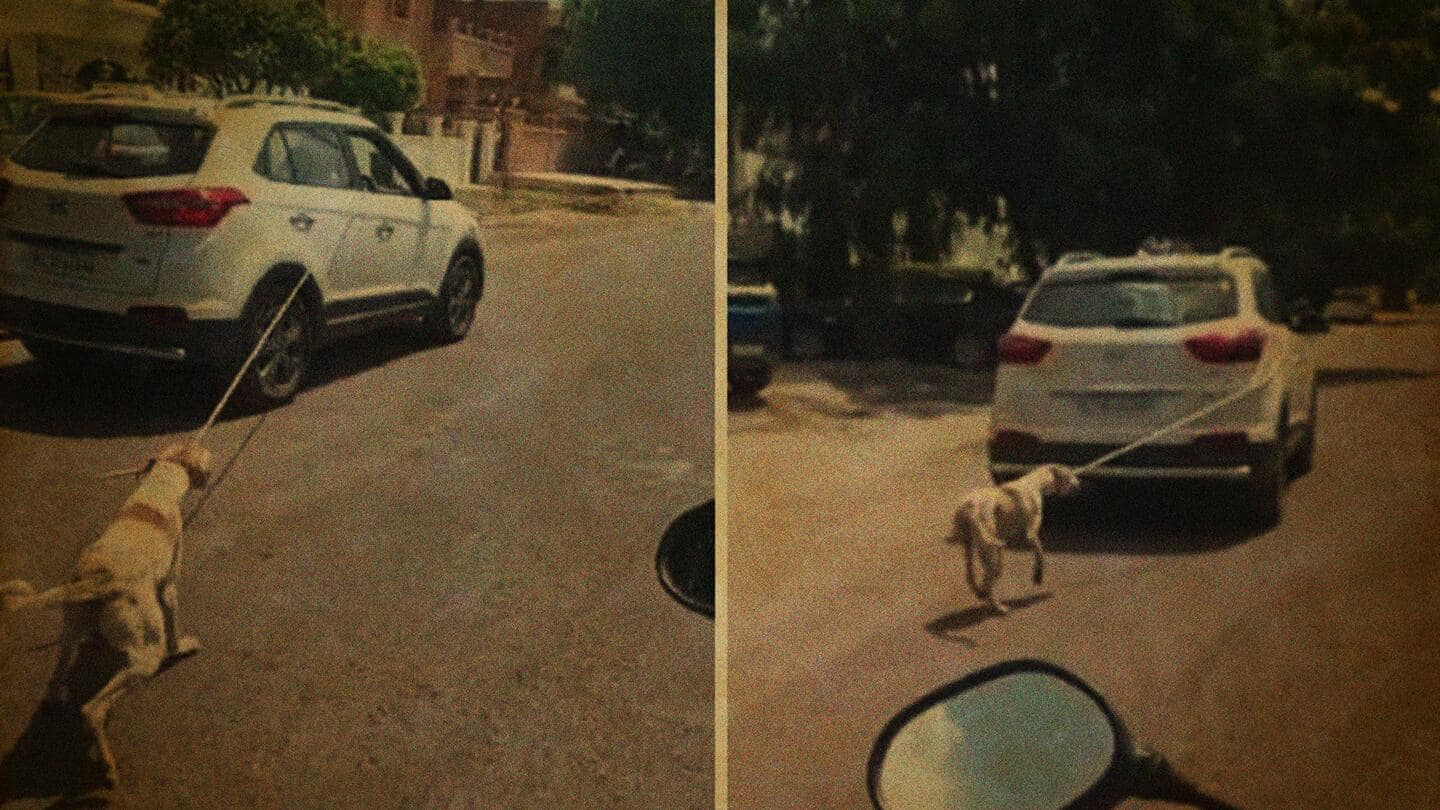 राजस्थान: बेजुबान और लाचार कुत्ते को कार से बांधकर शहर भर में घसीटा, वीडियो वायरल