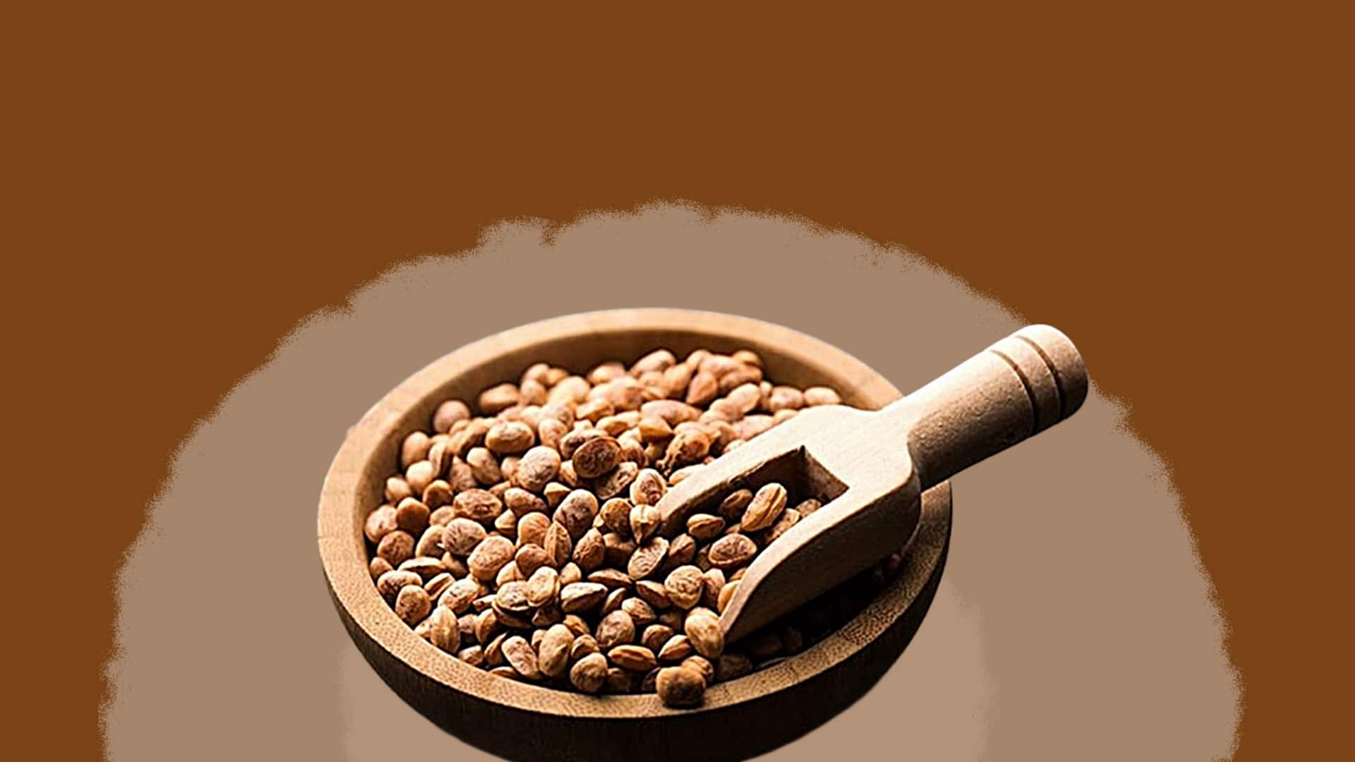स्वास्थ्य के लिए लाभदायक है चिरौंजी, जानिए इसके 5 प्रमुख फायदे