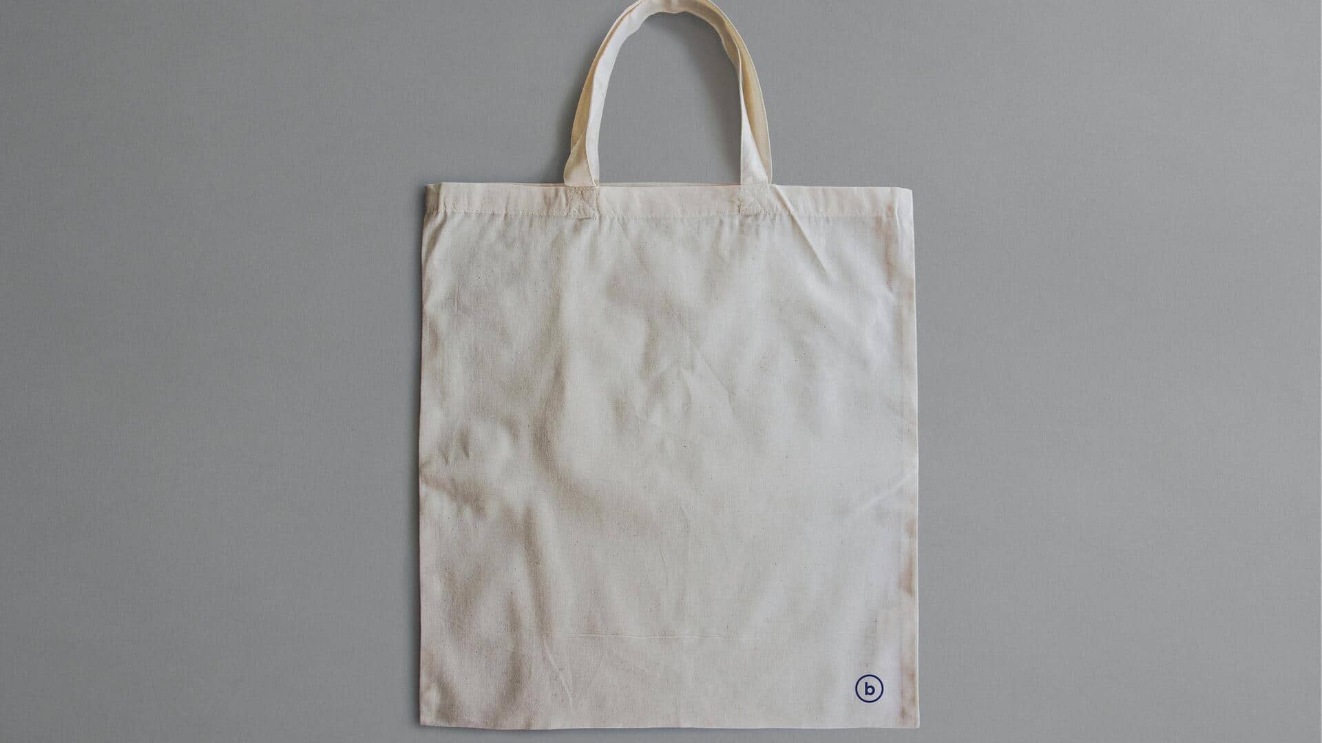 पुरानी कपड़े की थैलियों से बनाएं ये 5 उपयोगी चीजें, आसान है प्रक्रिया