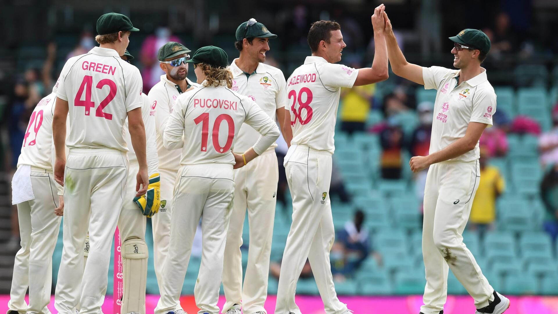 दूसरा टेस्ट: न्यूजीलैंड की पहली पारी 162 रन पर सिमटी, ऑस्ट्रेलिया को भी लगे शुरुआती झटके
