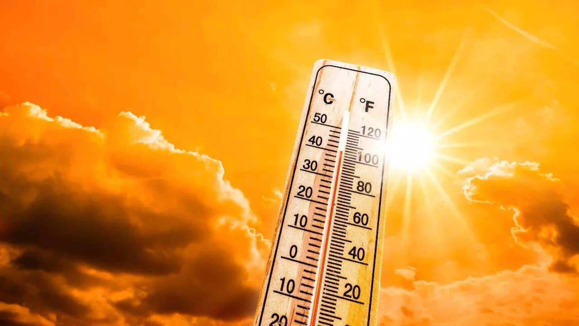 हीटवेव से सुरक्षित रहने के लिए न करें ये 5 काम, स्वास्थ्य पर पड़ सकता है बुरा असर