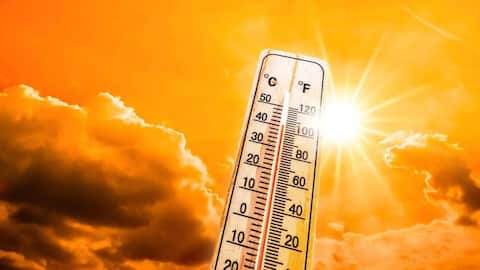हीटवेव से सुरक्षित रहने के लिए न करें ये 5 काम, स्वास्थ्य पर पड़ सकता है बुरा असर