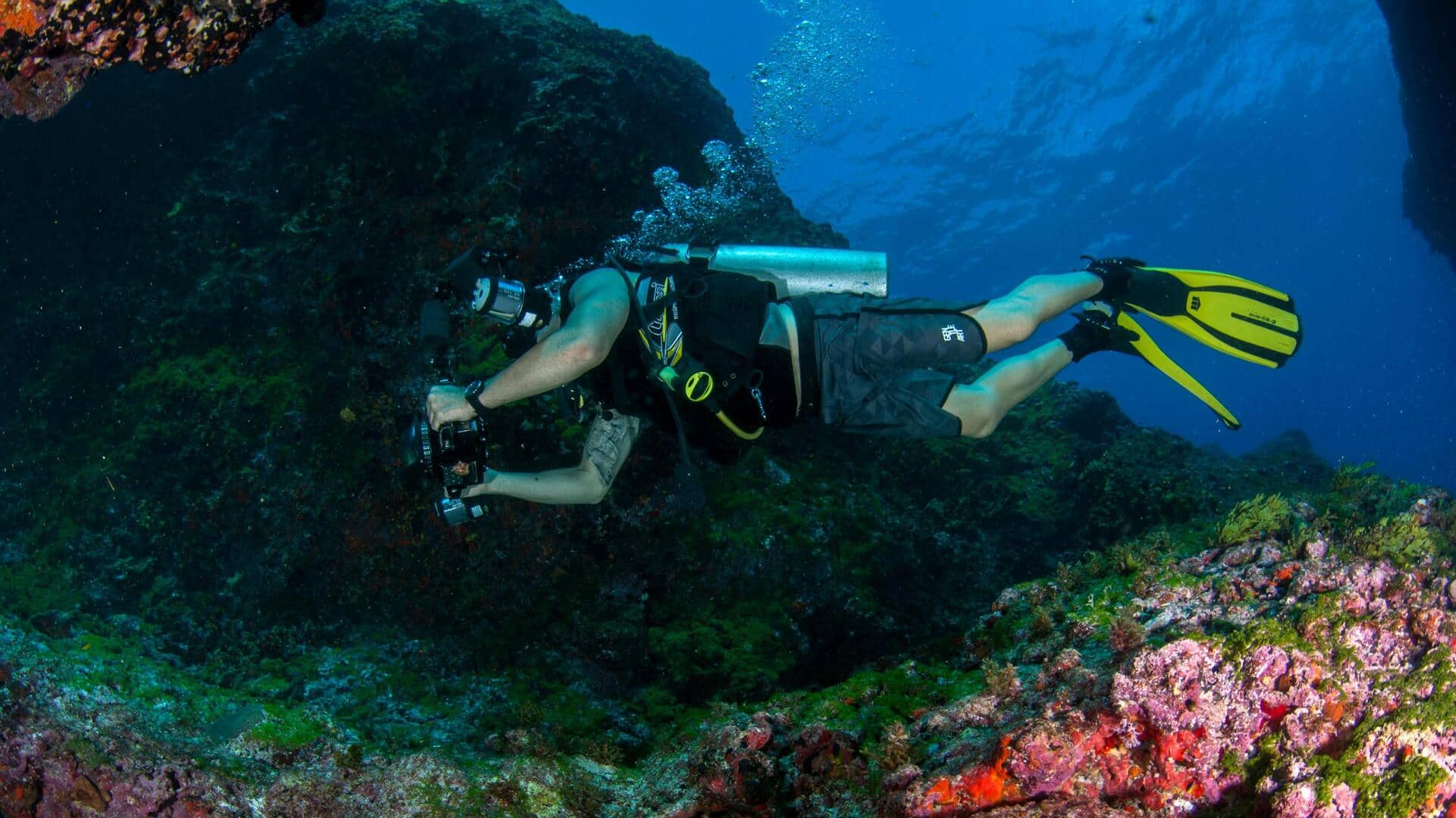 स्कूबा डाइविंग की योजना बना रहे हैं तो इन 5 बातों का रखें ध्यान