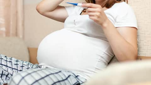 गर्भावस्था के दौरान महिलाओं को झेलनी पड़ती हैं ये 5 परेशानियां, जानिए इनके इलाज 