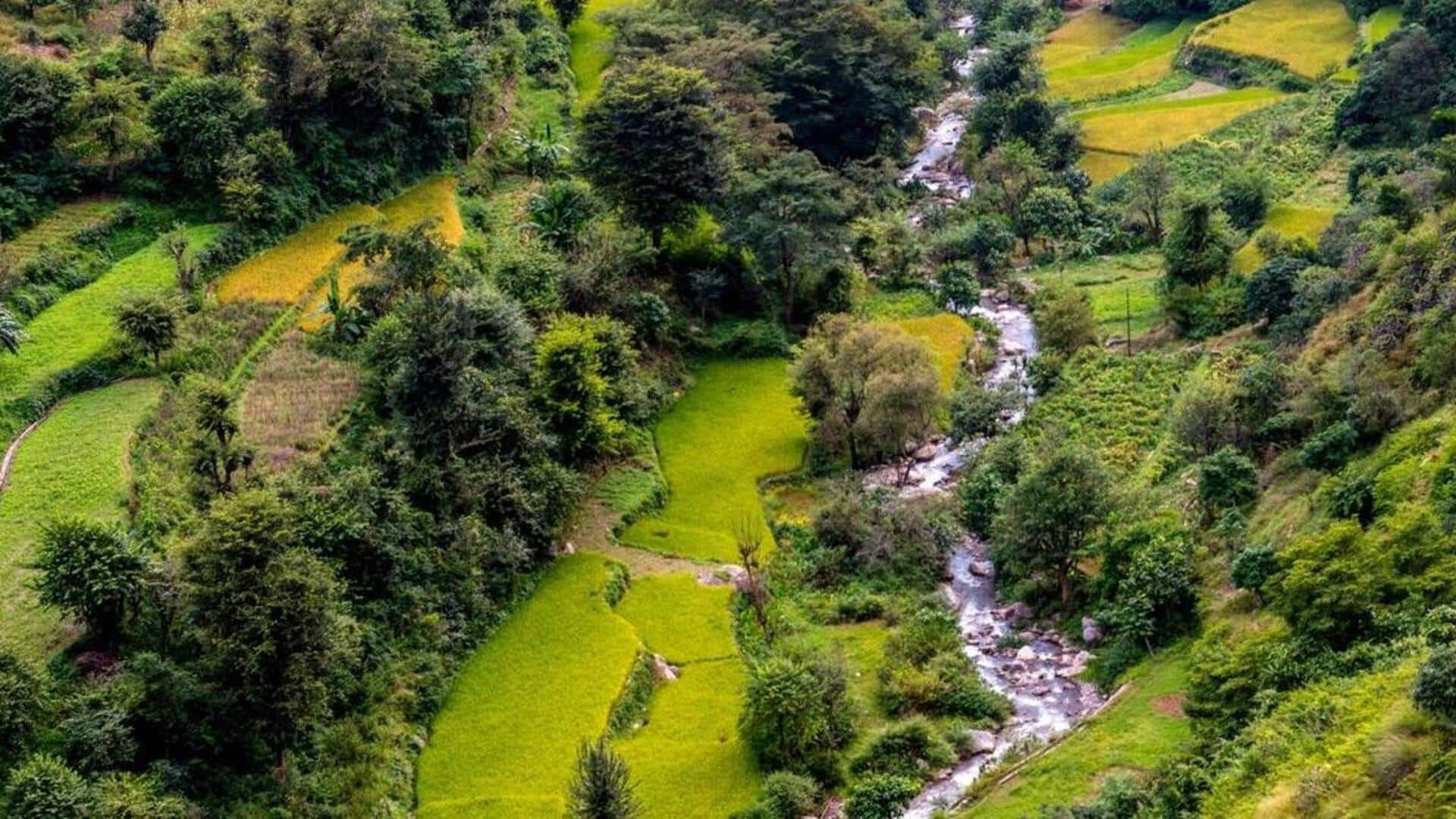 उत्तराखंड: बिनसर वन्यजीव अभयारण्य की यात्रा में इन 5 गतिविधियों का लें आनंद