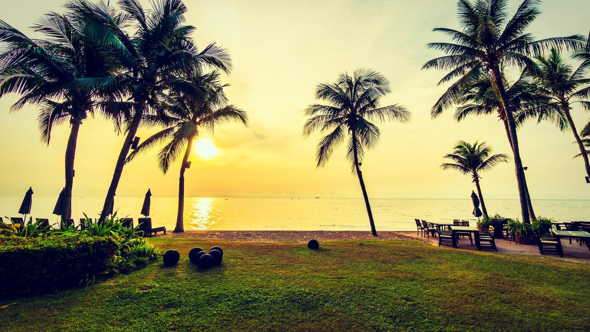 केरल के वायनाड में स्थित हैं ये 5 खूबसूरत पर्यटन स्थल, छुट्टियों में घूम आएं