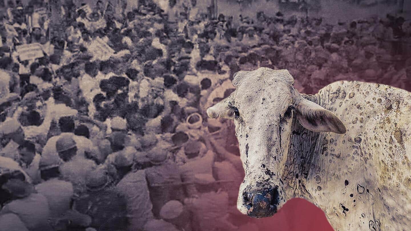 राजस्थान: लंपी वायरस से जानवरों की मौत पर भाजपा का प्रदर्शन, पुलिस से भिड़े कार्यकर्ता
