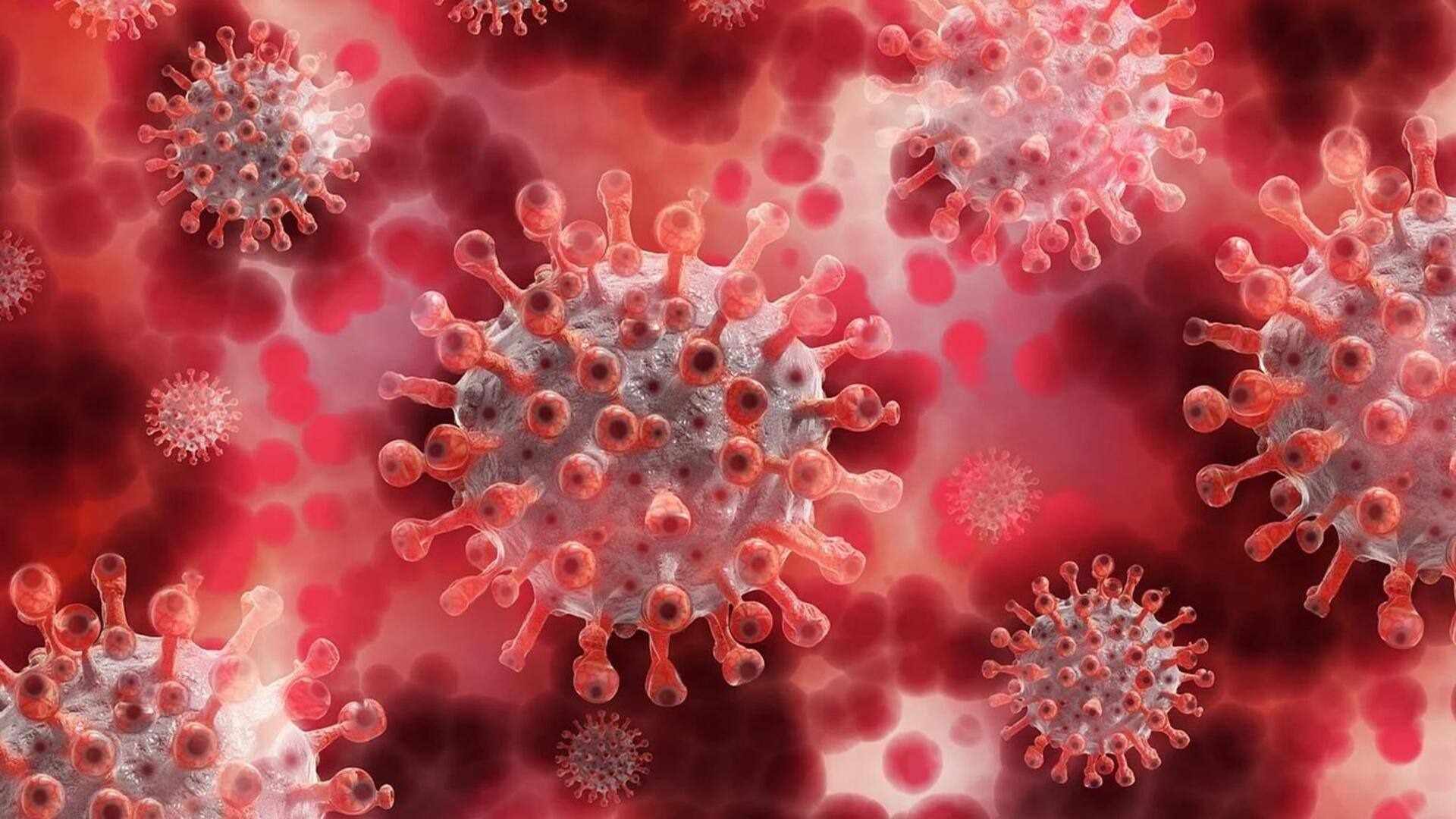 वैज्ञानिकों का दावा, HIV को कोशिकाओं से कर सकते हैं अलग