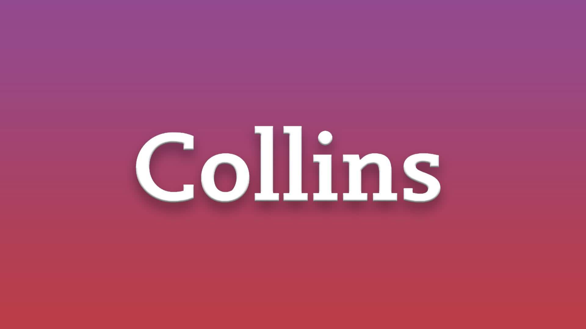 कोलिन्स डिक्शनरी ने चुना 'वाइब कोडिंग' को साल का शब्द, क्या है इसका मतलब?