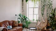 How to create a nature-inspired sanctuary at home