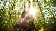 How nature sounds can improve your focus