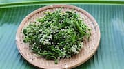 What is Malabar spinach?