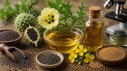Argemone oil: A traditional remedy for acne-prone skin 