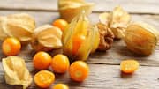 Ground cherries: The secret to amazing desserts