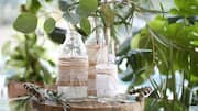 Transform juice bottles into boho vases: Here's how