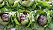 Love leafy greens? Try radicchio next