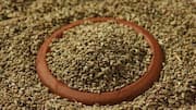 5 delicious dishes using carom seeds