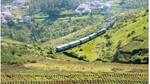The couple was first to avail the 'special train' service