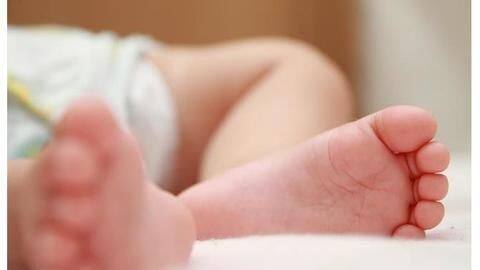 111 newborns dead at Adani-run hospital in 5-months; probe ordered 111 newborns dead at Adani-run hospital in 5-months; probe ordered