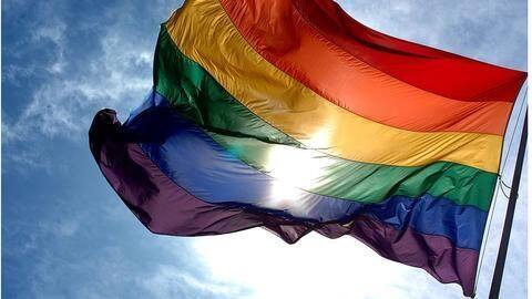 Homosexuality not a crime, but same-sex marriage is unnatural: RSS Homosexuality not a crime, but same-sex marriage is unnatural: RSS