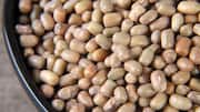 Moth beans: An underrated superfood you need to know about