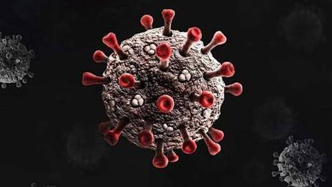 No Delta plus variant found in 376 samples: BMC No Delta plus variant found in 376 samples: BMC