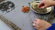 Seed sorting meditation: What it is, why it's important