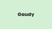 Word of the Day: Gaudy