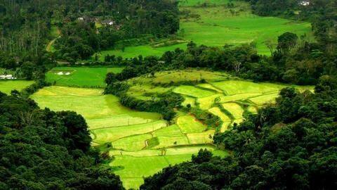Fall in love with the natural, wild beauty of Coorg Fall in love with the natural, wild beauty of Coorg