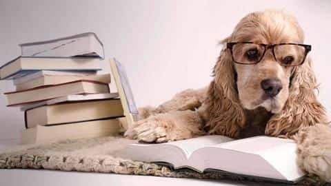 Which books should powerful people (like Modi, Shah, RaGa) read Which books should powerful people (like Modi, Shah, RaGa) read