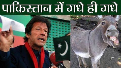 Their biggest obsession is Pakistan Their biggest obsession is Pakistan