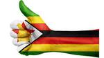 The start of an extraordinary series of events in Zimbabwe