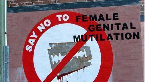 Activists suggest IPC sections for practitioners of female genital mutilation Activists suggest IPC sections for practitioners of female genital mutilation