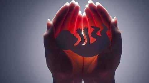 Massive female foeticide racket unearthed in Maharashtra Massive female foeticide racket unearthed in Maharashtra