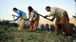 #Winner: Jaitley made huge announcements for farmers