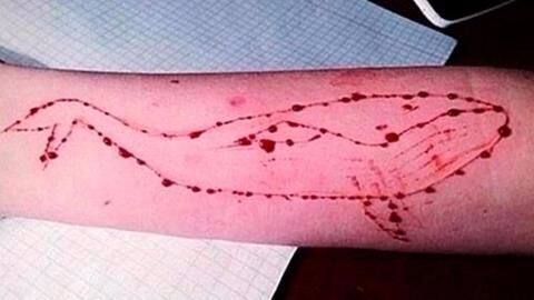 Blue Whale challenge: 17-year-old Haryana student hangs himself Blue Whale challenge: 17-year-old Haryana student hangs himself