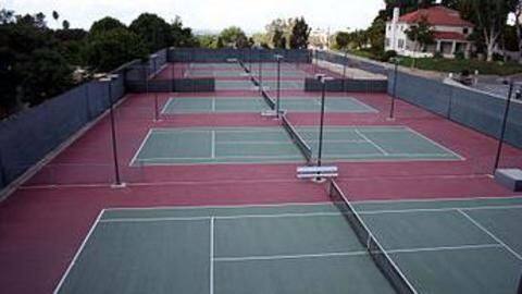 India to host Uzbekistan for Davis Cup tie India to host Uzbekistan for Davis Cup tie
