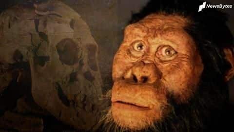 Scientists discover 3.8 million-year-old fossil of ancient human ancestor Scientists discover 3.8 million-year-old fossil of ancient human ancestor