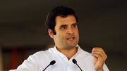 Would fight Gujarat assembly polls with full force: Rahul Gandhi